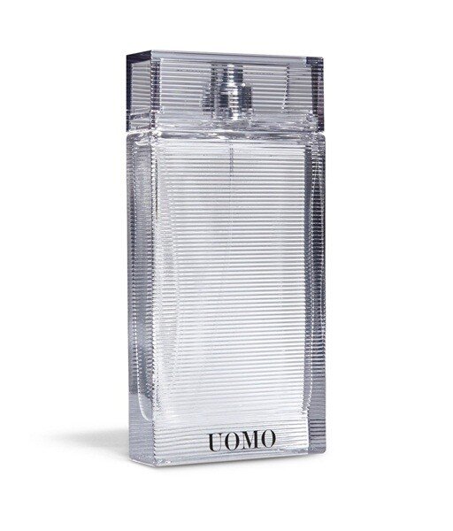 Ermenegildo Zegna Uomo EDT 200 ml Erkek Parfümü kullananlar yorumlar
